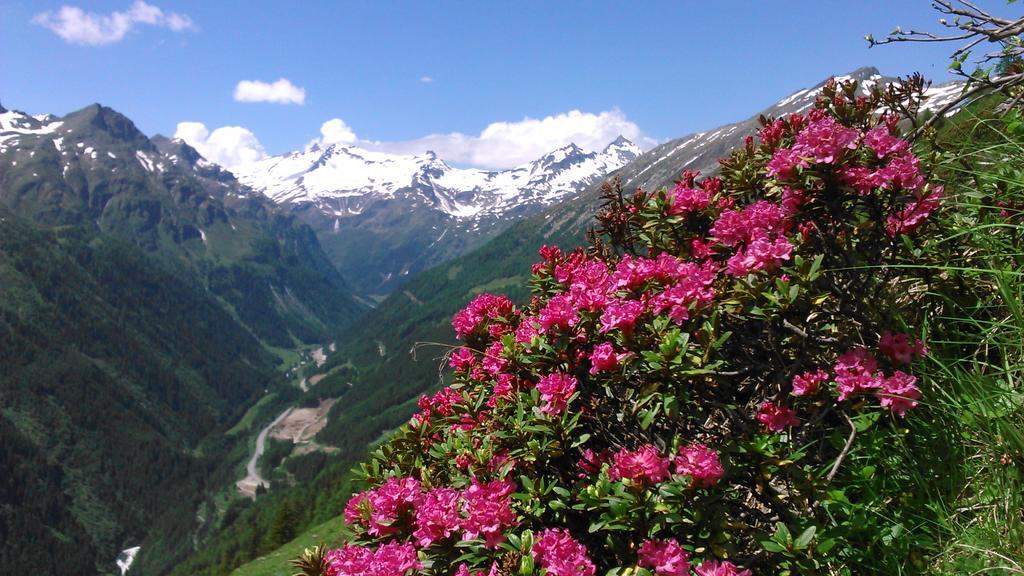 Simiterhof Διαμέρισμα Matrei in Osttirol Εξωτερικό φωτογραφία