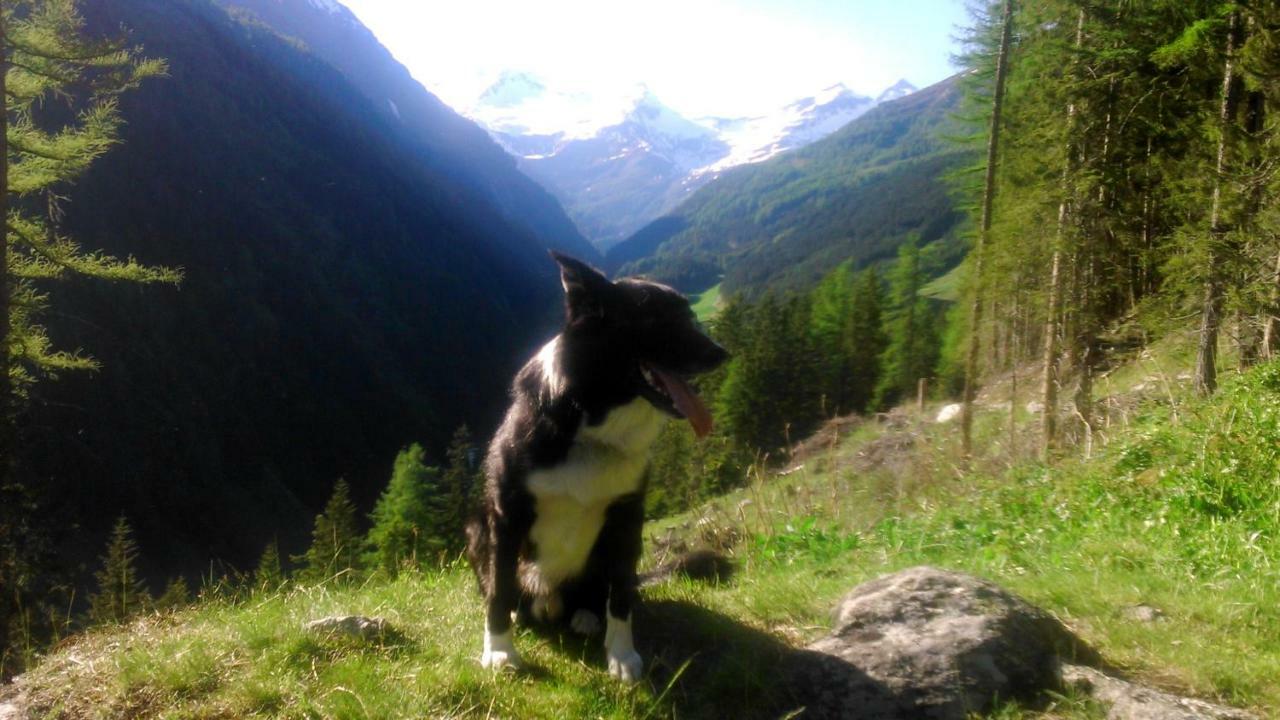 Simiterhof Διαμέρισμα Matrei in Osttirol Εξωτερικό φωτογραφία