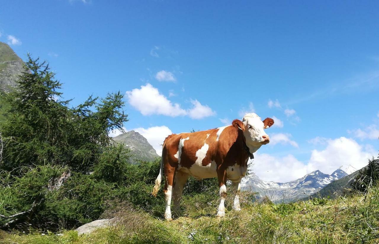 Simiterhof Διαμέρισμα Matrei in Osttirol Εξωτερικό φωτογραφία