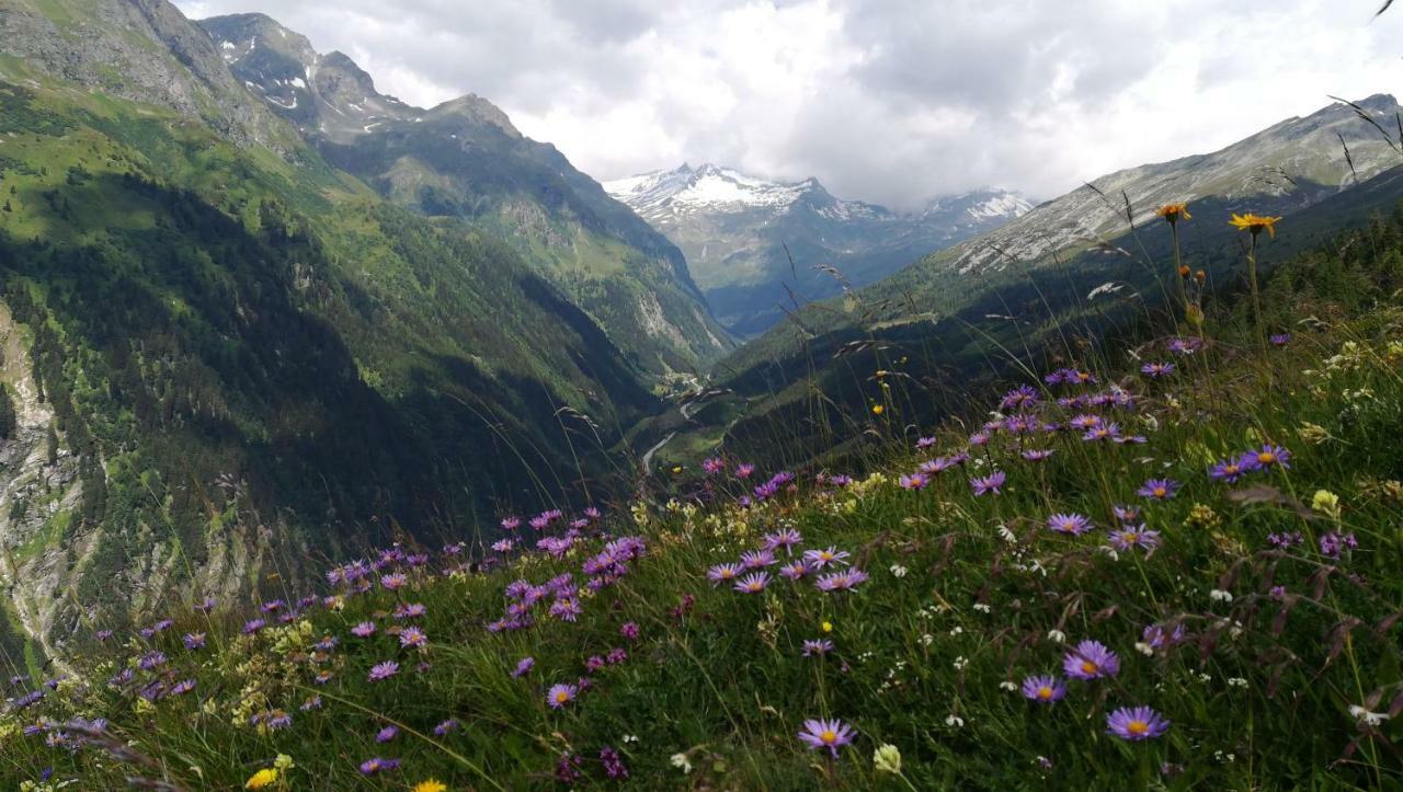 Simiterhof Διαμέρισμα Matrei in Osttirol Εξωτερικό φωτογραφία